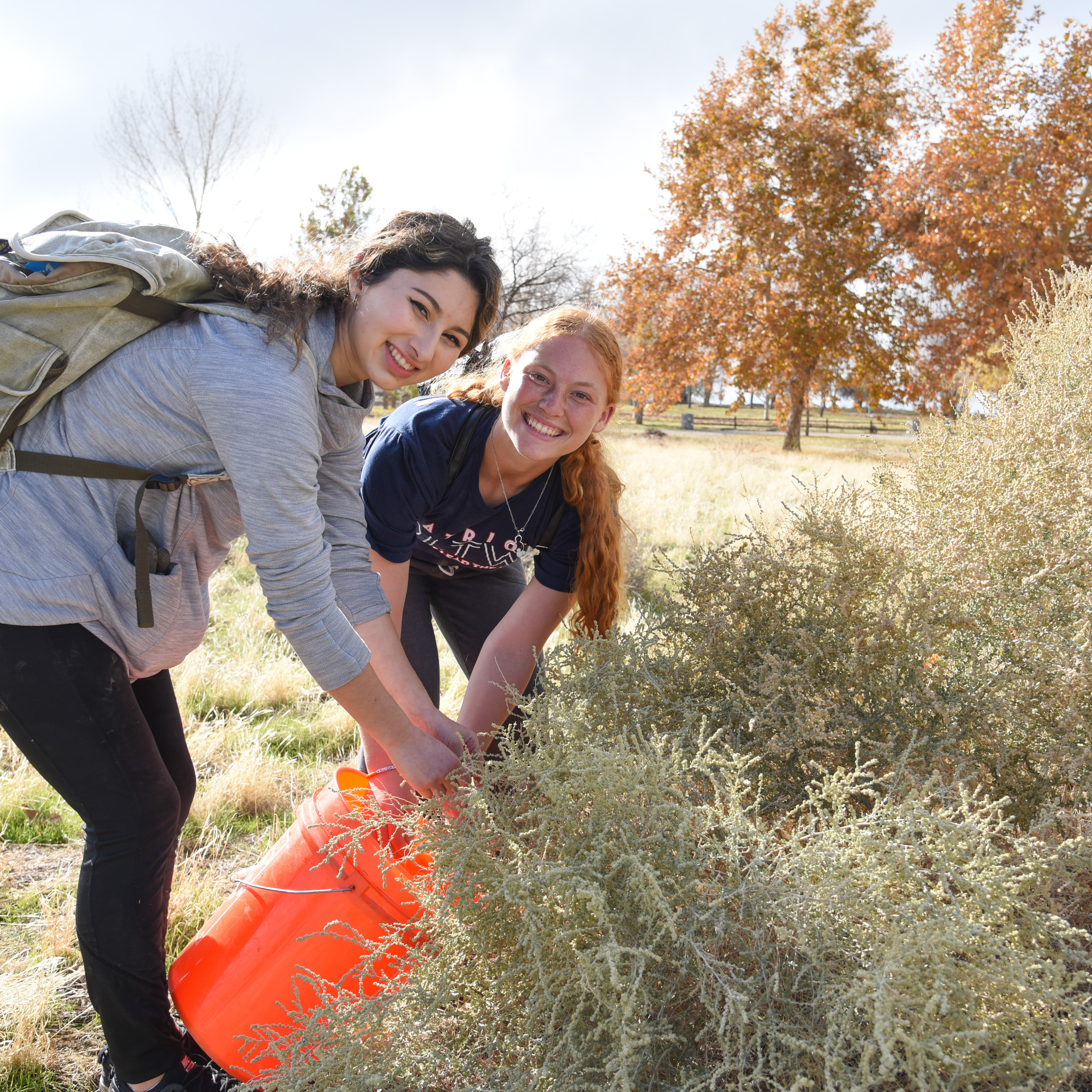 Volunteer Day: Seed Collection for Red-tailed Trail - logo